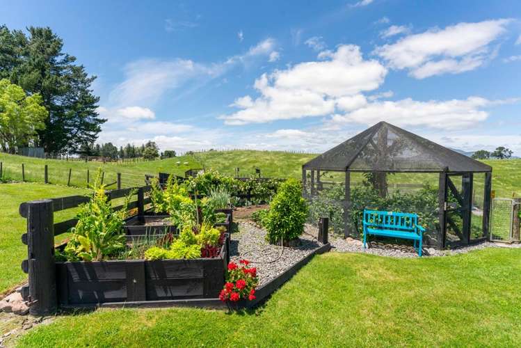 151b Palmer Mill Road Wairakei And Surrounds_37