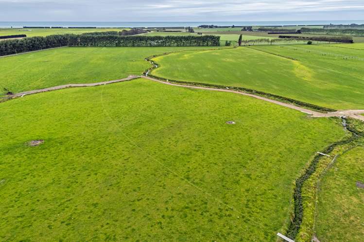 94 Brogdens Road Lowcliffe_7