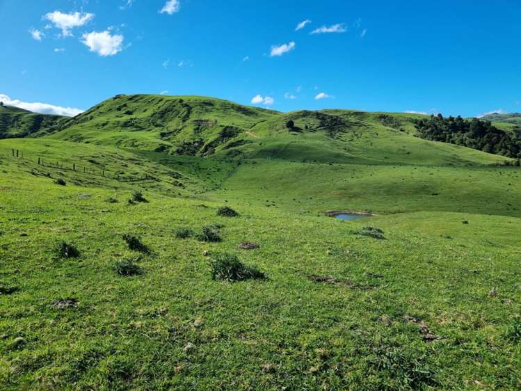 4382 Puketitiri Road Puketitiri_9