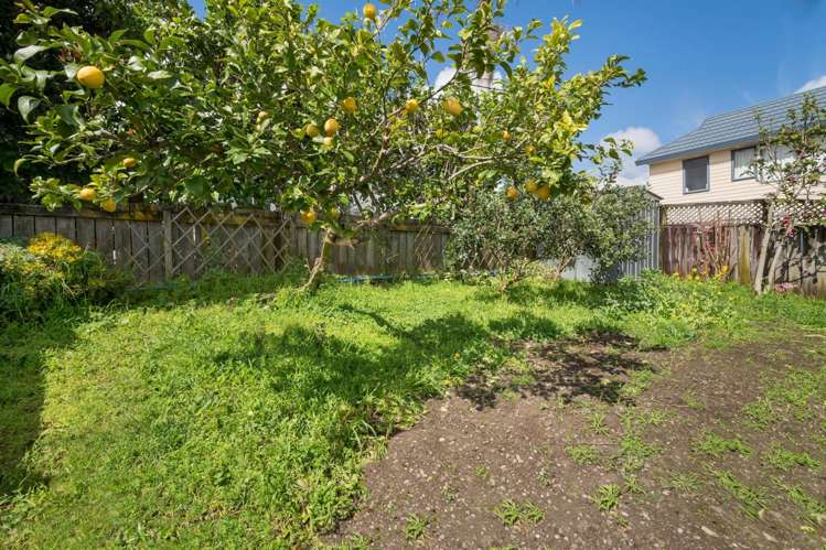 45A Morningside Drive Mt Albert_12