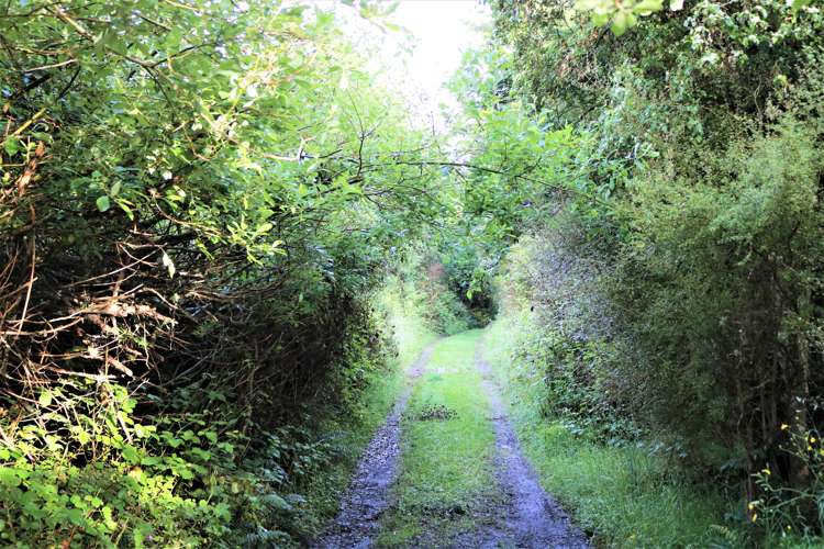 144 Glentui Bush Road Glentui_8