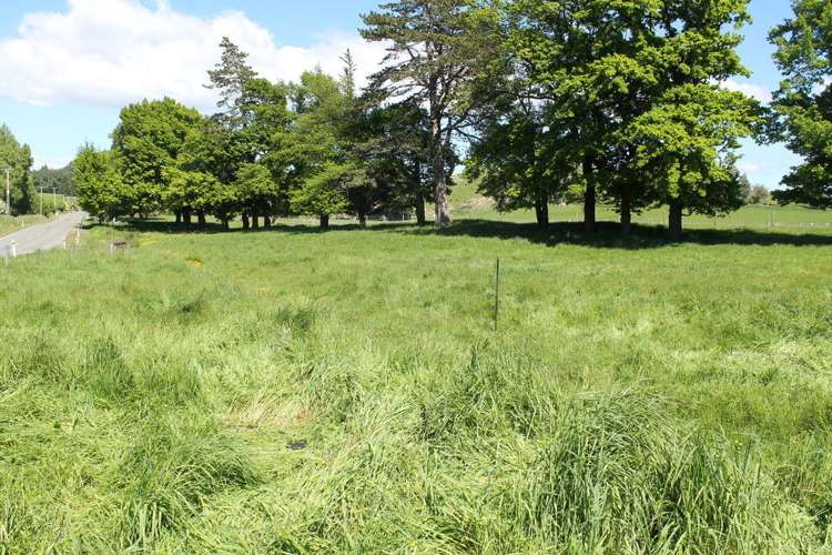 49 Spirit Burn Road Dipton_12