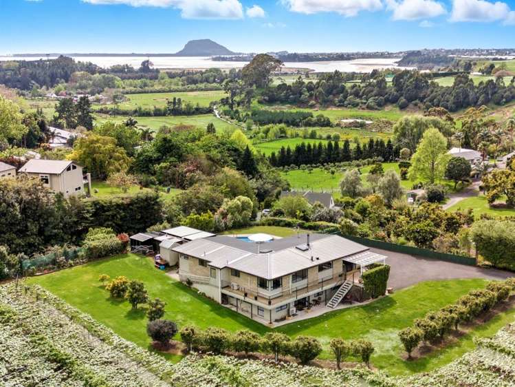 4C Armstrong Road Te Puna_32