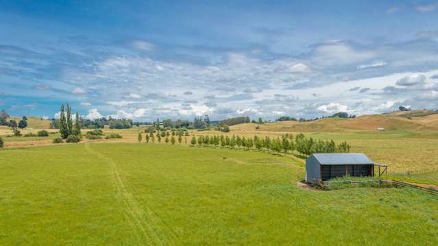 359 Mangatarata Road Hawkes Bay_3