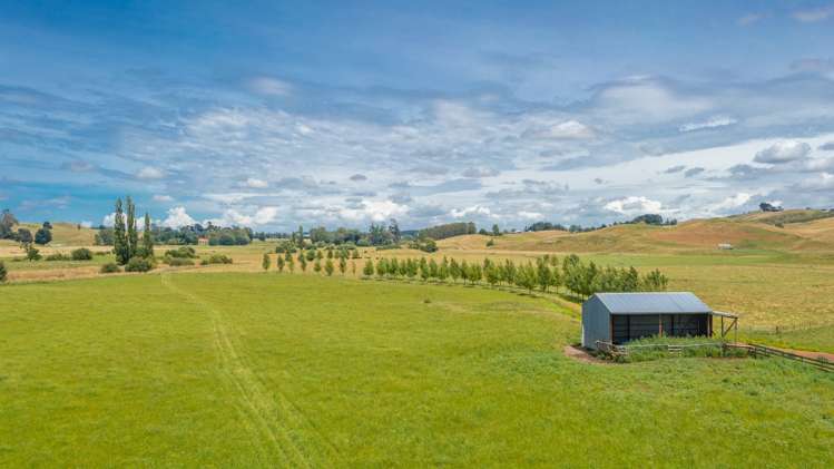 359 Mangatarata Road Hawkes Bay_3