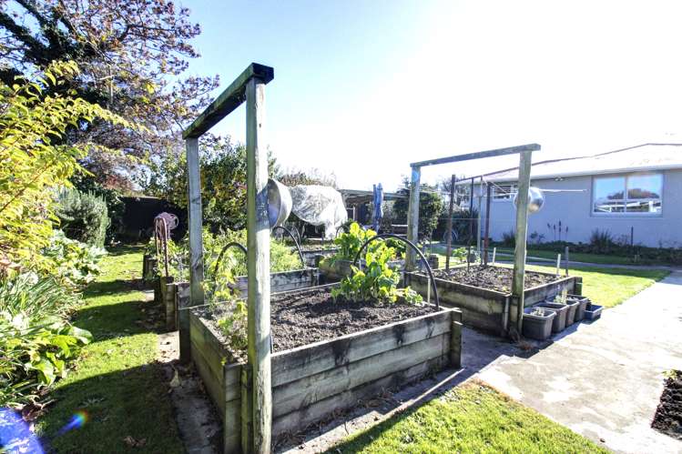 29 Lucas Street Riversdale_6