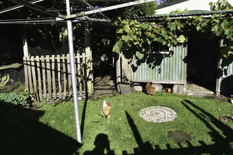 6 Nelvin Avenue Manunui_11