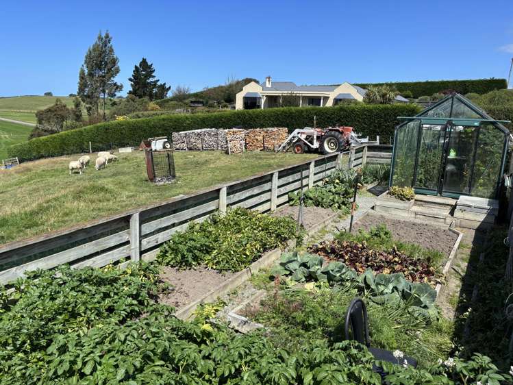 10 Jarrow Street Maheno_17