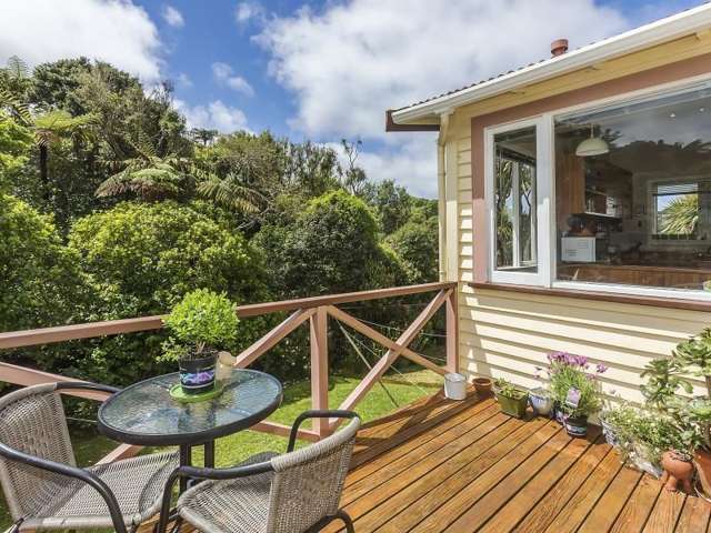 62 Chelmsford Street Ngaio_4