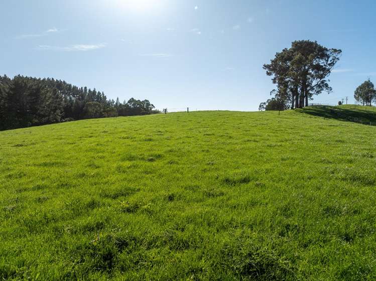 24 Rowe Road Whatawhata_35