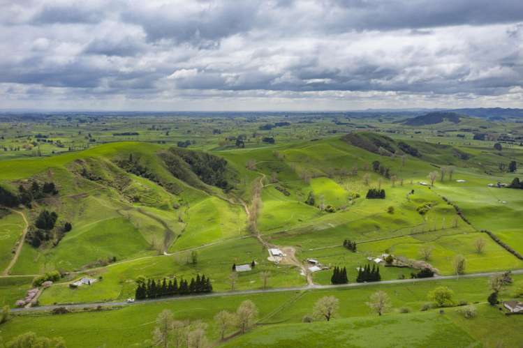 342 Happy Valley Road Maihiihi_2