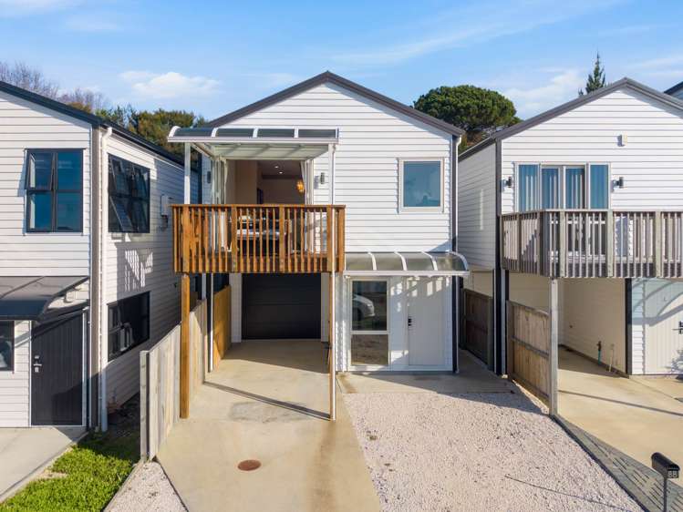 86 Joseph Street Flat Bush_1