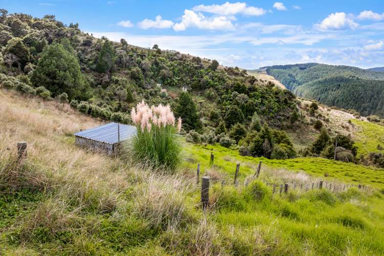 808 Kaipara Hills Road Warkworth_9