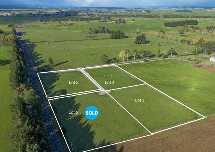 Lot 4 1312 State Highway 50, Ongaonga, Central Hawkes Bay Country_1