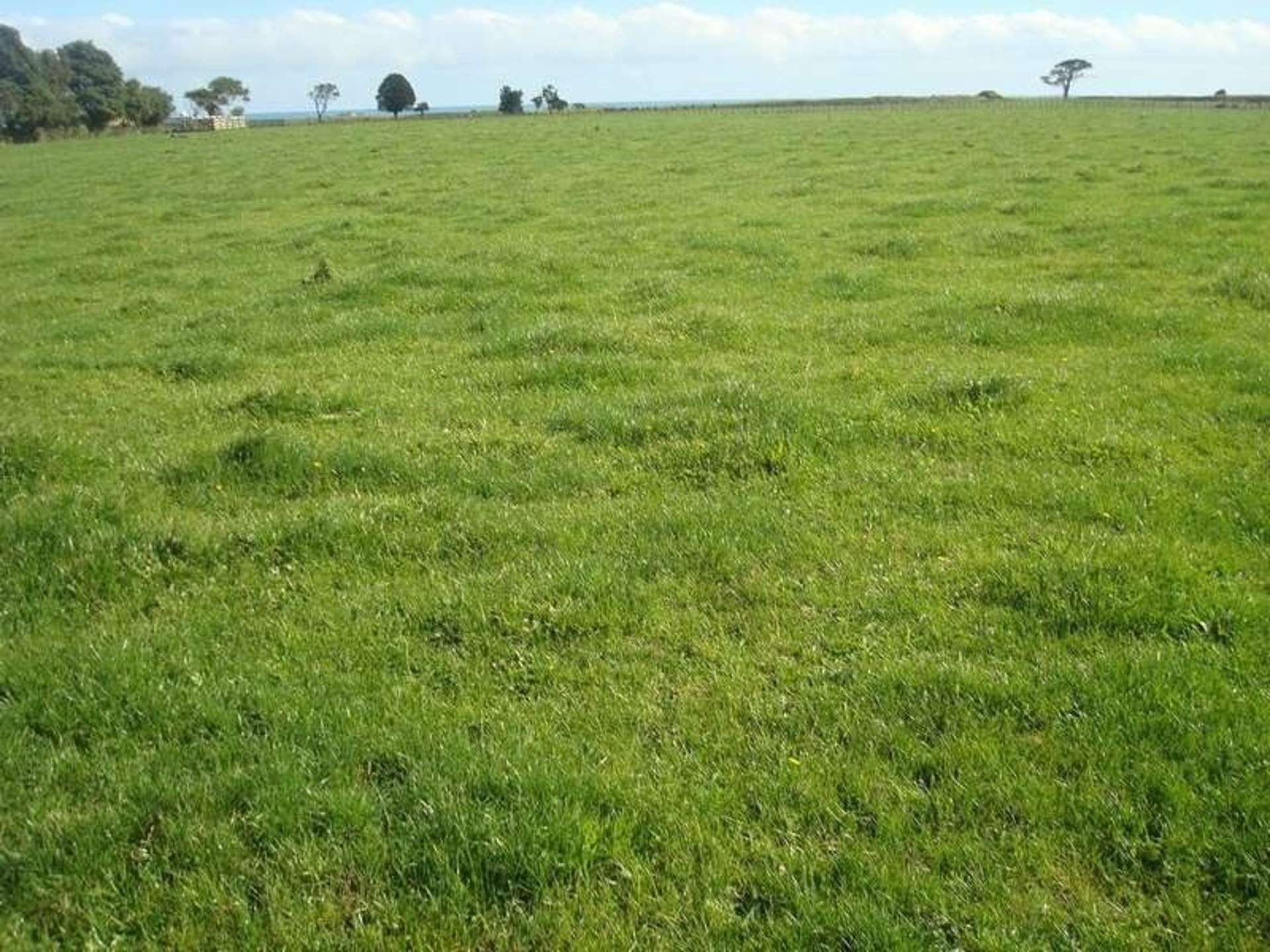 146 Brown Road Waitara_0