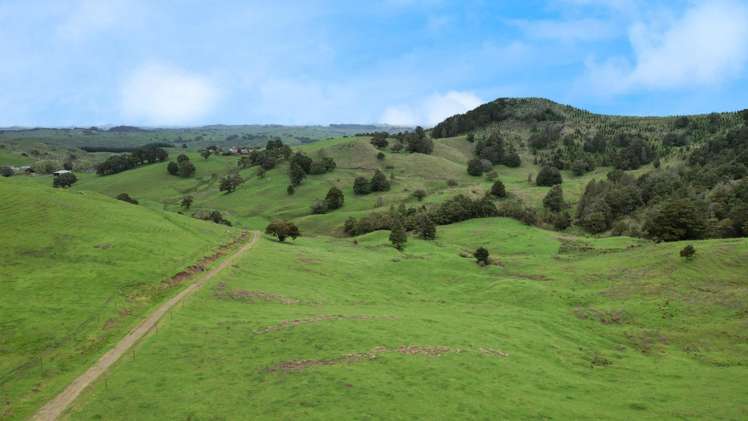 1896 Omana Road Pukehuia_11
