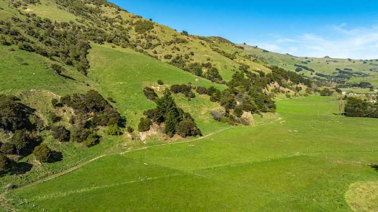 1234 Okains Bay Road Okains Bay_6