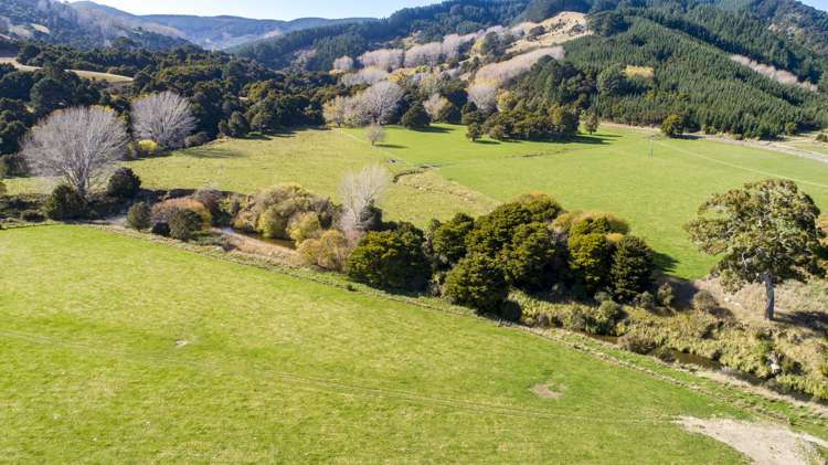 338 Tinui Valley Road Tinui_15