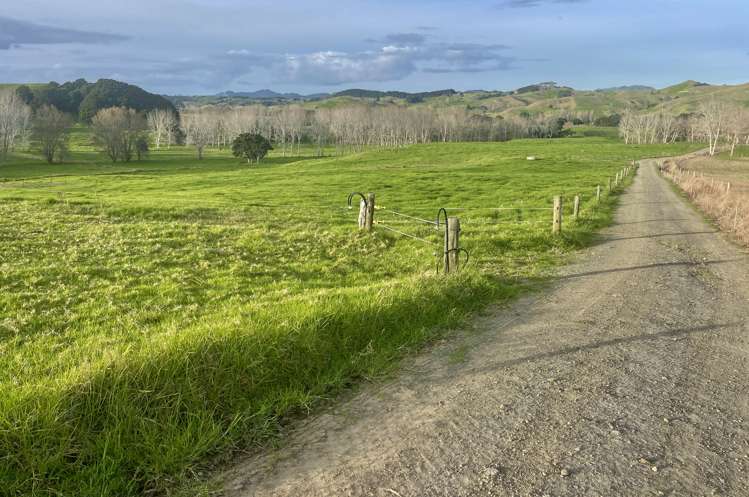 1557 Waihue Road Dargaville Surrounds_15