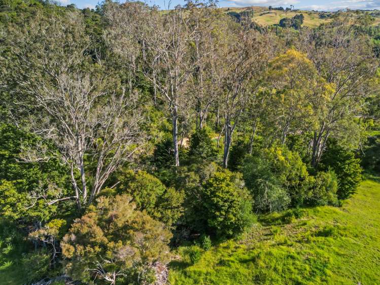 19 Doel Road Kawakawa_12