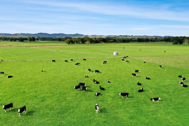 Bluff Road Woodville_1