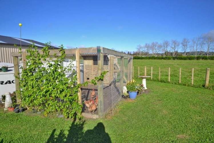 234 Ness Road Kerikeri Surrounds_9