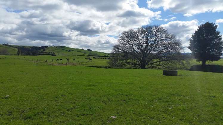 Morrinsville-Tahuna Road Morrinsville_11