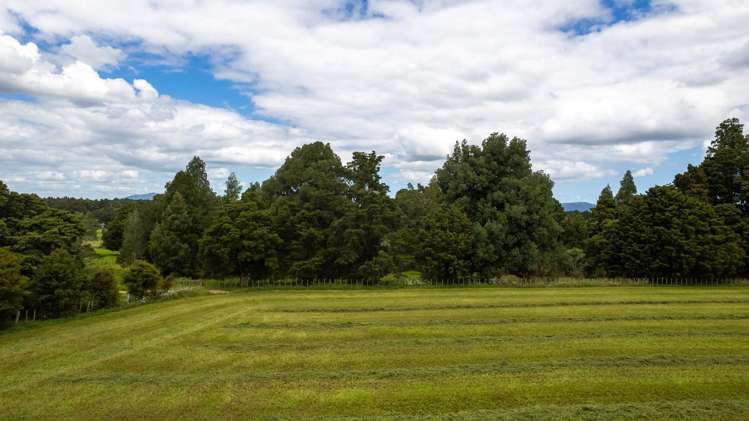 Lot 11 93 Station Road Kaikohe_3