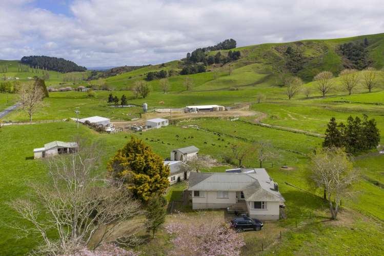 342 Happy Valley Road Maihiihi_22