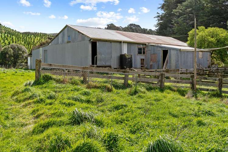 816 Mangamahoe Central Road Eketahuna_16