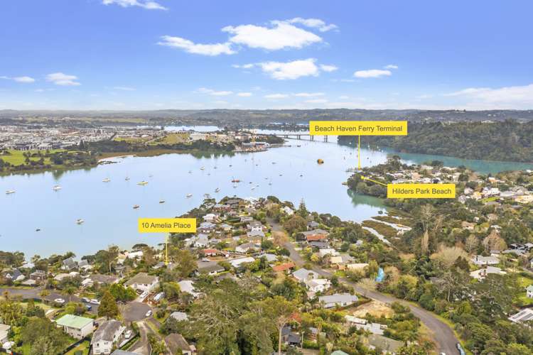 10 Amelia Place Beach Haven_5