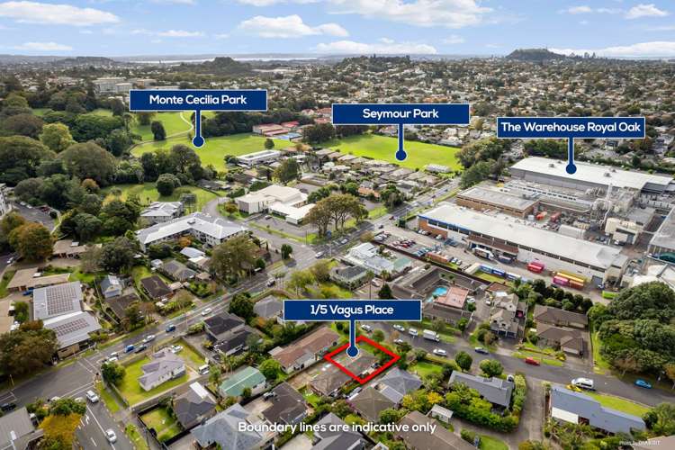 1/5 Vagus Place Royal Oak_12