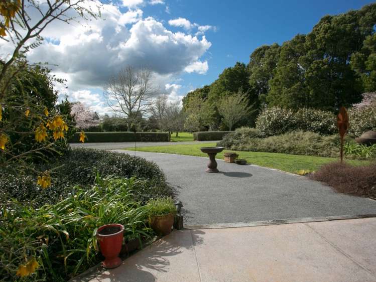 634 Maungatautari Road Cambridge_20