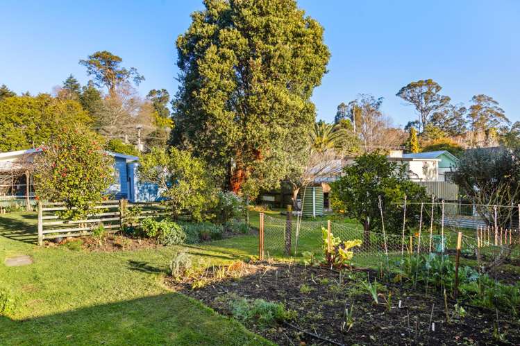 40 Darwin Road Outer Kaiti_18
