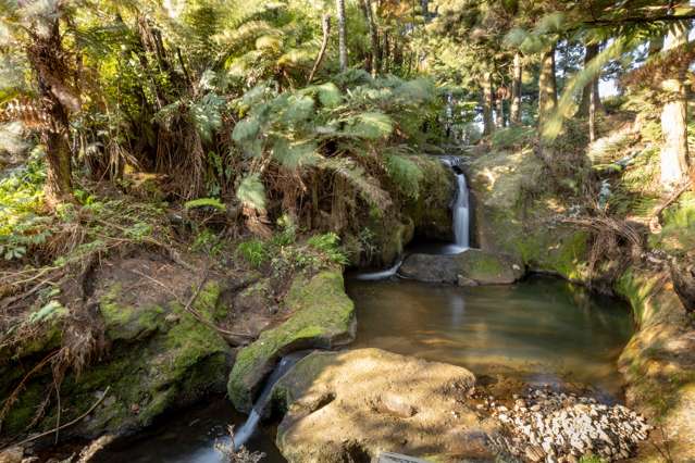 115 Ngatitangata Road Waihi_2