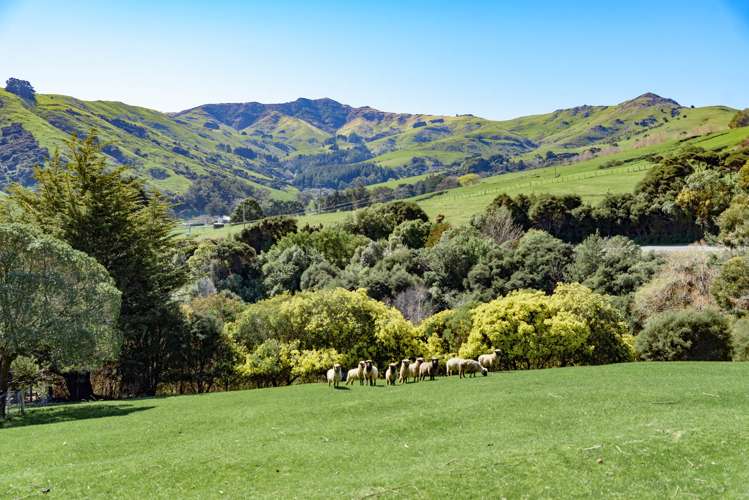 11 Bayview Crescent Duvauchelle_11