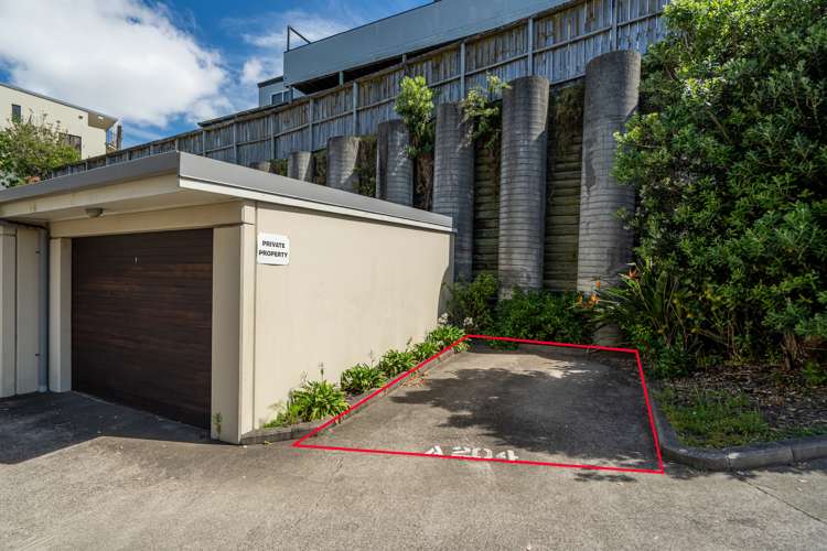 A204/525 East Coast Road Browns Bay_31