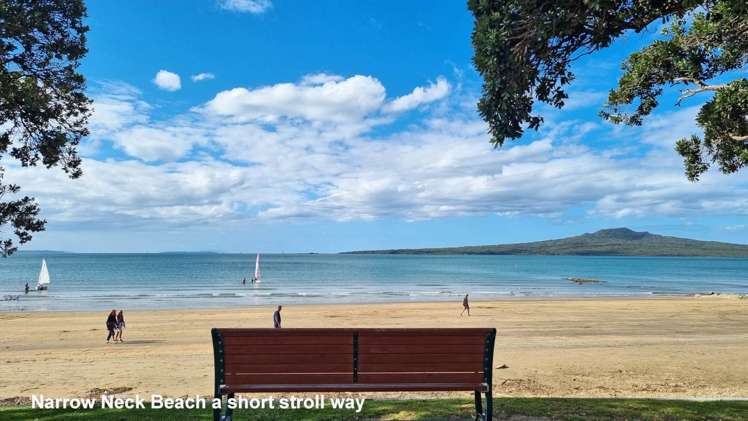 12a Handley Avenue Narrow Neck_5