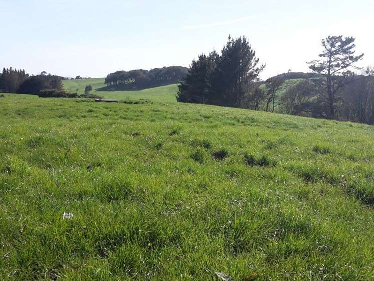 346 Rugby Road Tariki_8