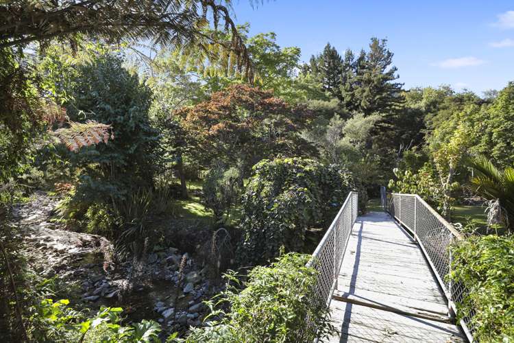 5 East Avenue Te Aroha_15