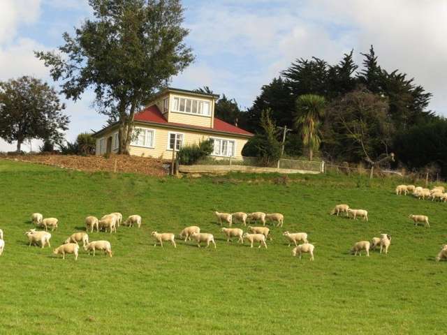 1094 Niagara Tokanui Highway Catlins Surrounds_2