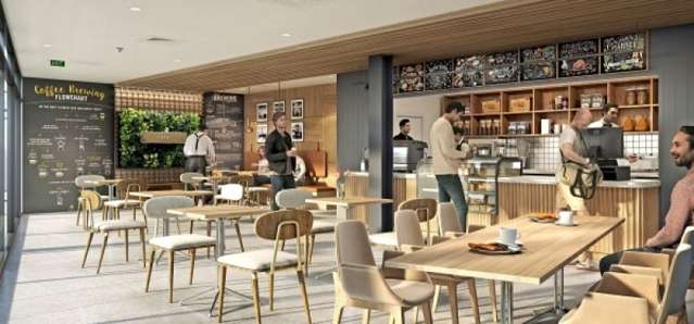 1 Enfield Street Mount Eden_1