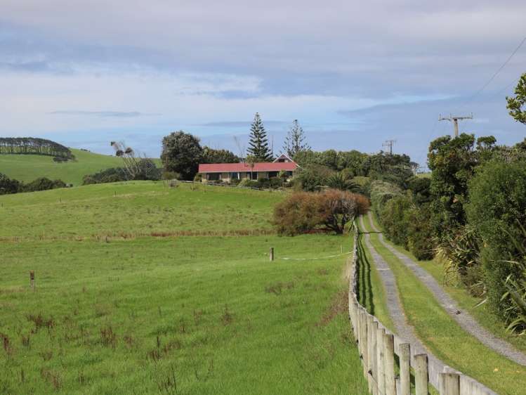 817 Baylys Coast Road Dargaville Surrounds_8