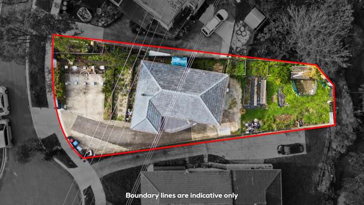 12 Amsterdam Place Avondale_10