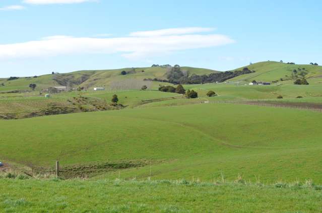 216C Ahiaruhe Road Carterton_2