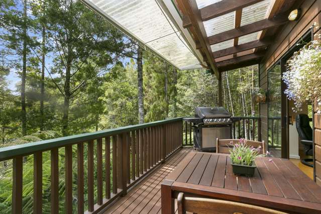 14 Kauri Loop Road Oratia_4