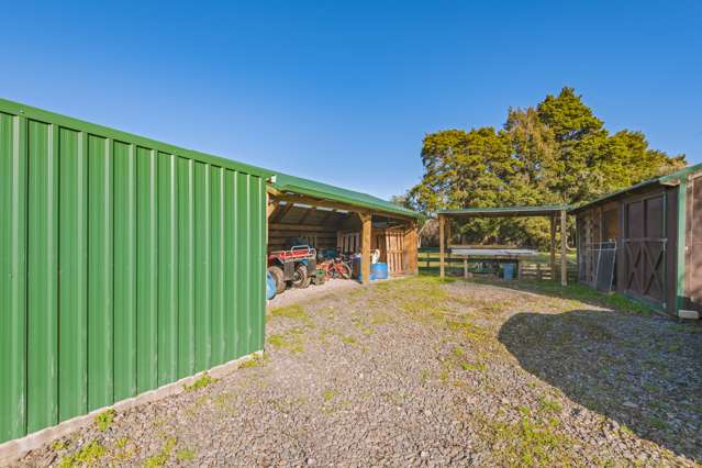 83 Johnson Street Milton_4