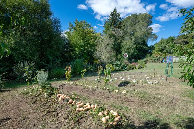 105A State Highway 30 Tikitere_62