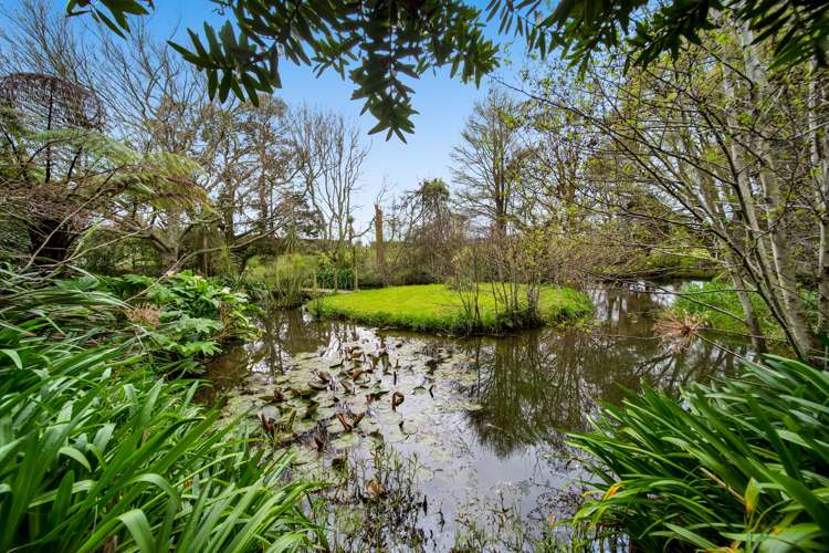 7 Richmond Road Waitara_18