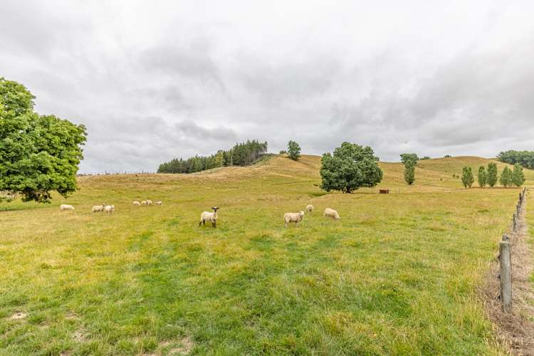 135 Longridge Road Wainuioru_6